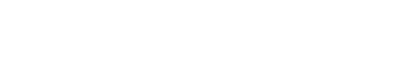 Digital Giant